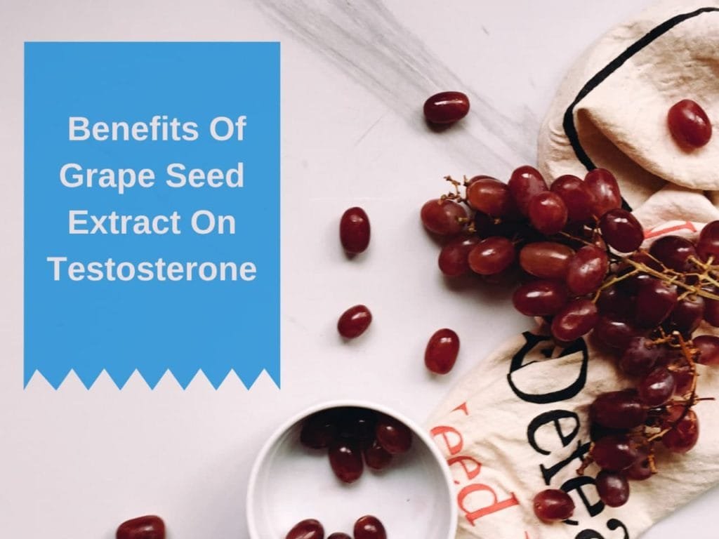 Benefits Of Grape Seed Extract On Testosterone