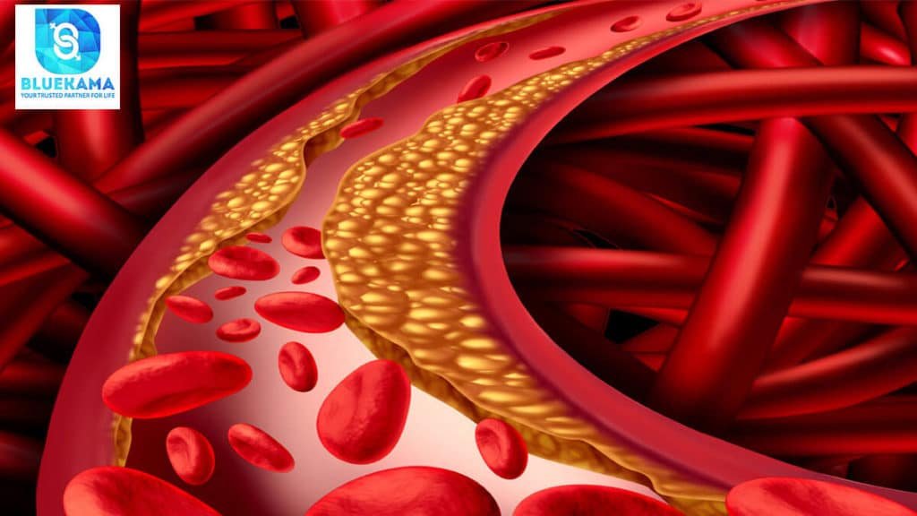Improves bad cholesterol